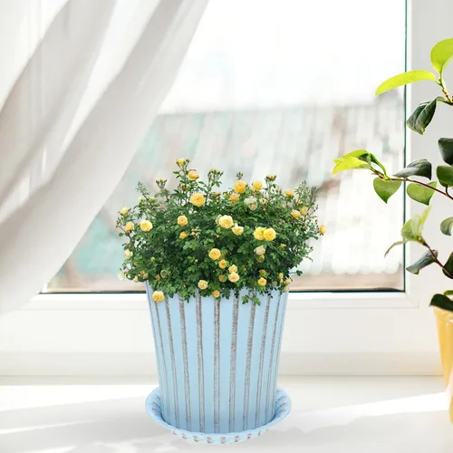 Vista 6 de Happyyami 2 juegos de macetas de orquídeas macetas decorativas para bonsái, maceta de interior con macetas de drenaje para plantas, macetas