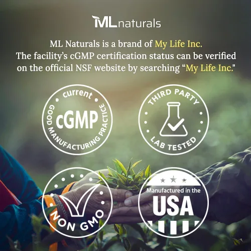 Vista 2 de ML Naturals GABA (ácido gamma-aminobutírico) 1,000 mg por porción 240 cápsulas vegetales