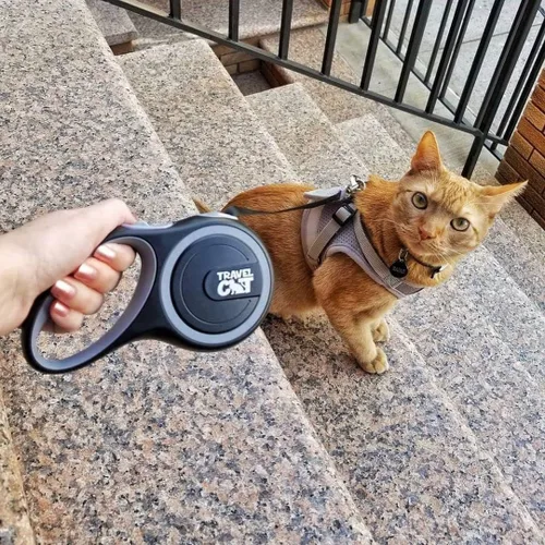 Vista 4 de Travel Cat Paquete de mochila para transportar navegador, arnés gris y correa retráctil, accesorios para gatos para viajes al aire libre, caminar