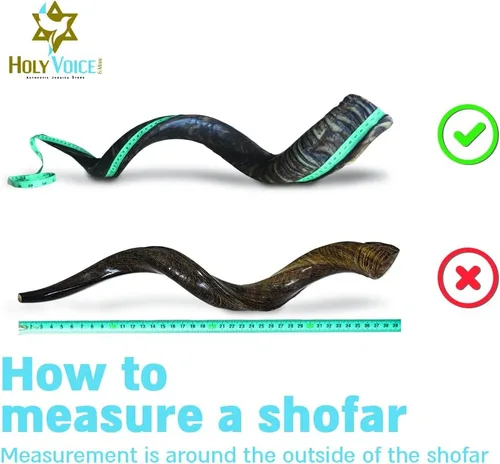 Vista 4 de Holy Voice Kosher Kudu Shofar Horn de Israel 24 a 28 pulgadas, juego tradicional de shofar yemenita medio pulido, incluye bolsa de transporte