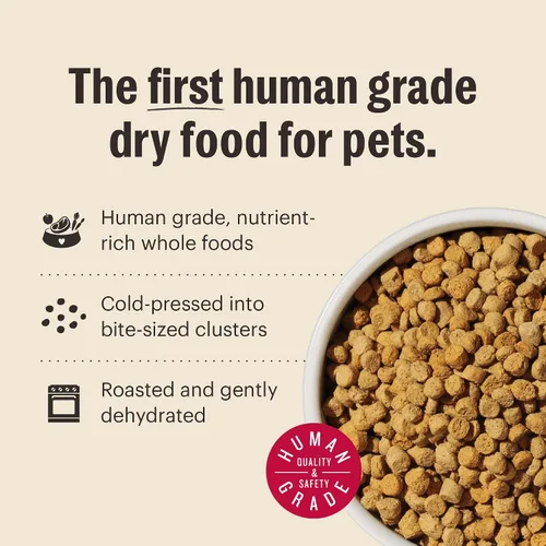 Vista 5 de The Honest Kitchen Clusters de comida para gatos de grado humano de comida entera sin granos de pollo seco, bolsa de prueba de 1 libra