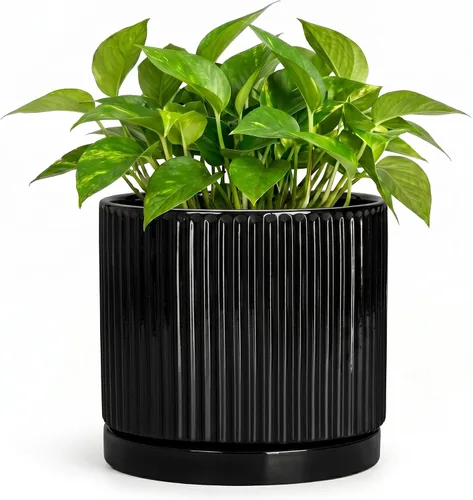Vista 51 de 8 Inch Flower Pot, Ceramic Planters, Round Plant Pot, Beige