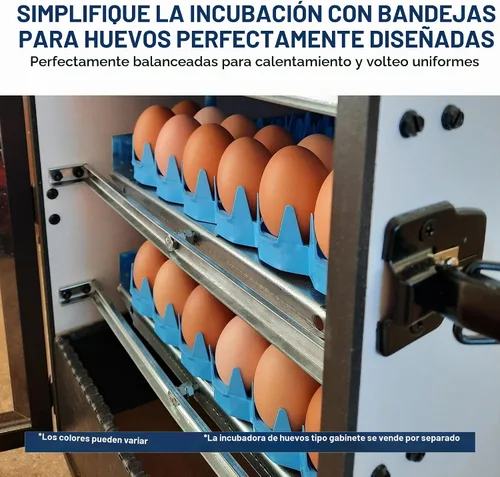 Vista 7 de Bandejas universales para huevos de pollo (paquete de 6)