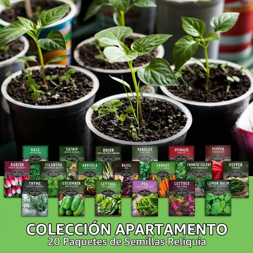 Vista 3 de Kit de semillas de jardín hidropónico e interior - 20 variedades compactas de verduras y hierbas tradicionales Apartamento, espacio pequeño, patio