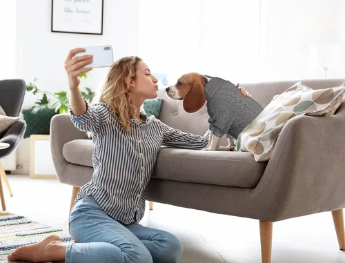 Vista 5 de Suéter de perro cuello alto tejido con botones para mascotas, color sólido, suéter para cachorros, suéter cálido para perros pequeños (Gris y XS)