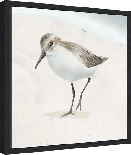 Vista 2 de Amanti Art Framed Canvas Wall Art 16x16 Sandpiper on the Beach II by Lucca Sheppard, Framed Wall Art Canvas, Animals Artwork, Modern Decor, Small