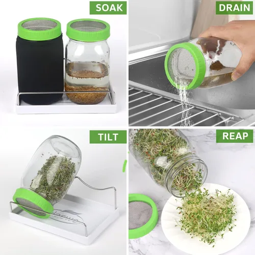 Vista 6 de Kit de tarro de germinación de semillas con tarros Mason de boca ancha, tapas de brotes de pantalla de acero inoxidable de alta calidad, mangas