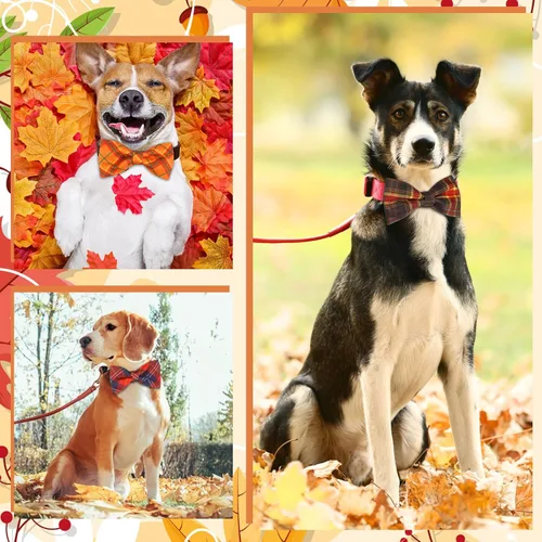 Vista 6 de Silkfly 60 piezas de collar de perro a cuadros, corbatín a granel, accesorios de vacaciones, lazos para cachorros, collares desmontables para perros