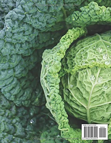 Vista 2 de Por qué los alemanes adoran la col Las recetas más deliciosas e importantes. Para principiantes y avanzados y cualquier dieta (Spanish Edition)
