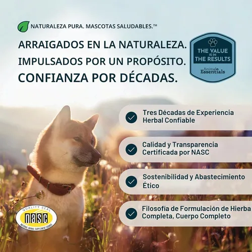 Vista 8 de Animal Essentials Enzimas vegetales y probióticos - Suplemento de absorción de nutrientes digestivos para perros y gatos, mezcla de enzimas