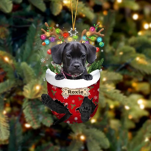Vista 208 de LOVELYPOD Adorno Personalizado de Perro Affenpinscher, Adornos de Navidad Affenpinscher Regalo para Amante de Perros, Adorno de Navidad Colgante