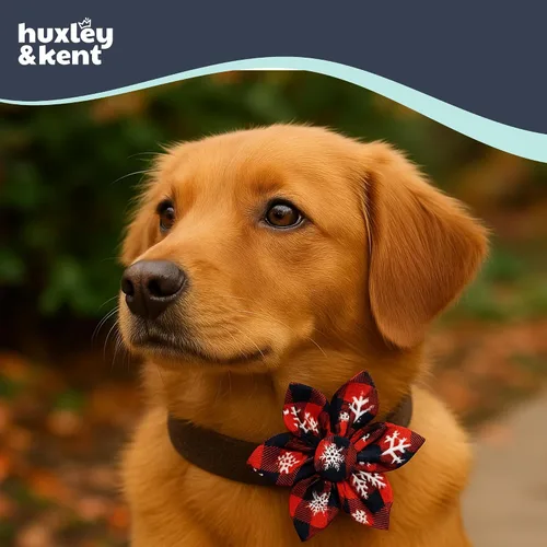 Vista 3 de Huxley & Kent Molinete para mascotas Buffalo & Snow (Pequeño) Accesorio de collar navideño para perros/gatos Accesorio de collar con moño