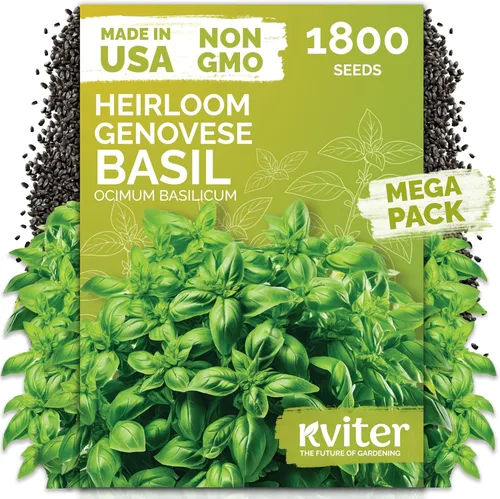 Vista 25 de KVITER 1000 semillas de quinua de cordero (Chenopodium Album) - Hierbas comestibles autóctonas, ideales para jardines de hierbas orgánicas