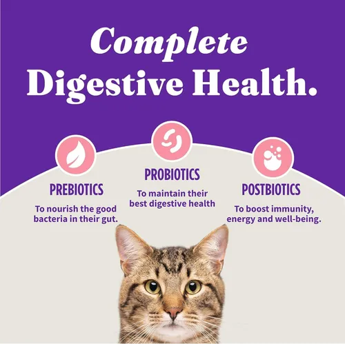 Vista 8 de Halo Holistic - Alimento seco para gatos, salmón capturado en la naturaleza