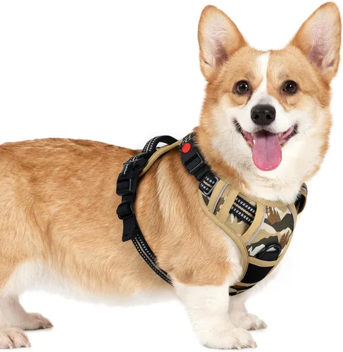 Vista 59 de Rabbitgoo - Arnés para perro de tamaño pequeño, arnés para mascotas sin tirones con 3 hebillas, chaleco acolchado suave ajustable con mango