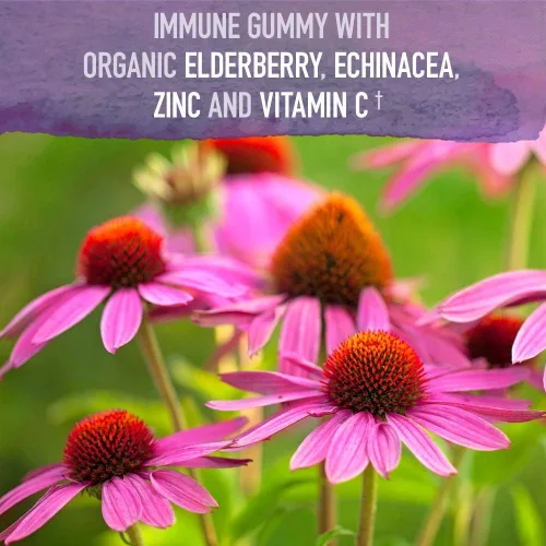 Vista 3 de Garden of Life Paquete de apoyo inmunológico: Gomitas de saúco orgánicas con equinácea, zinc 120 unidades + Gomita inmunológica para niños 60