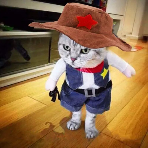 Vista 2 de Chaqueta de vaquero divertida para perros y gatos pequeños