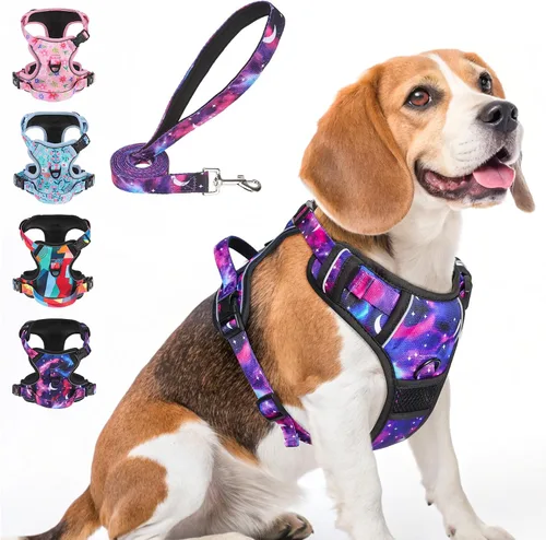 Vista 18 de BEAUTYZOO Arnés para perro sin tirones pequeño, juego de arnés y correa ajustable para perro - Fácil de usar con 3 hebillas/mango de control, arnés