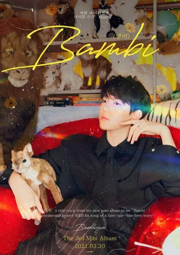 Vista 5 de EXO Baekhyun Bambi 3er Mini álbum PhotoBook Versión Night Rain Cover CD+2p Póster Plegable+88p PhotoBook+24p Letras Libro+Tarjeta Transparente+1p