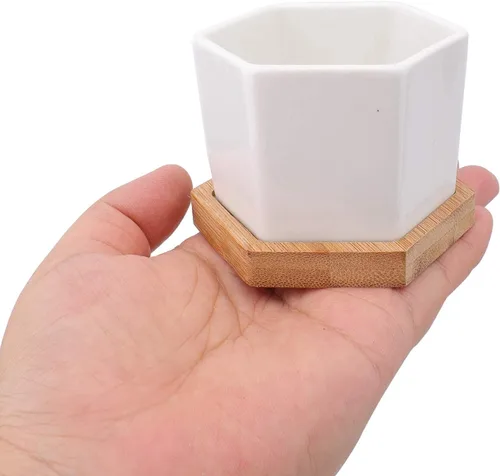 Vista 7 de Foraineam Paquete de 10 mini macetas para suculentas, 2.76 pulgadas hexagonales de cerámica blanca con bandeja de bambú