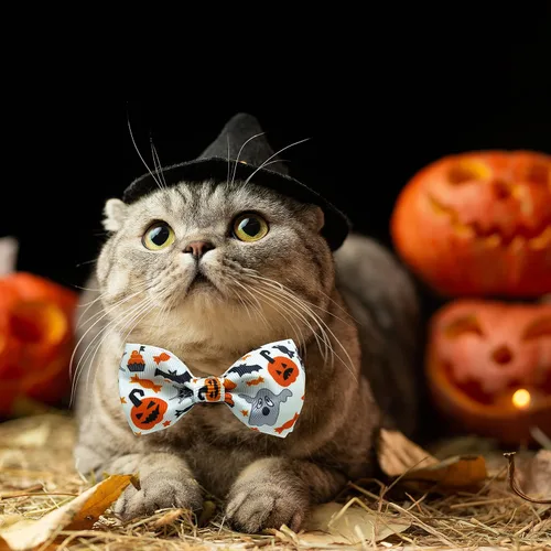 Vista 5 de Paquete de 2 collares de perro de Halloween con corbatín, linterna de Navidad y collar de calabaza para perros pequeños, medianos y grandes