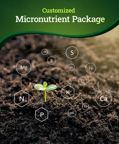 Vista 7 de Fox Farm Beastie Bloomz Fertilizante soluble – Fertilizante de alto fósforo para floración media a tardía, pH equilibrado – Apoya el desarrollo