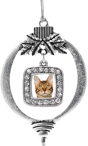 Vista 75 de Inspired Silver - Bon Voyage Cruise Ship Charm Ornamento – Adornos navideños cuadrados de plata con joyas de circonita cúbica