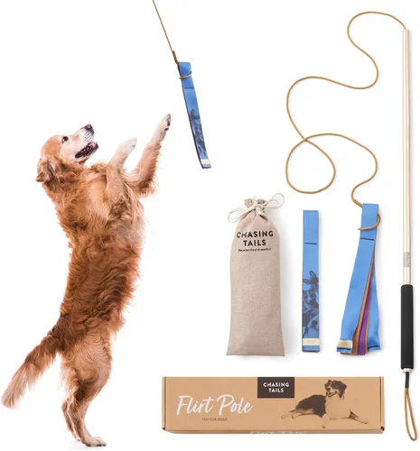 Vista 10 de Chasing Tails Poste de coqueteo para perros pequeños, 26 pulgadas con cuerda de 70 pulgadas y dos juguetes, equipo de juego interactivo para razas