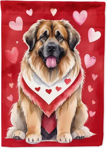 Vista 15 de Caroline's Treasures DAC5252GF Affenpinscher - Bandera de jardín con texto en inglés "My Valentine", bandera decorativa para patio exterior, patio