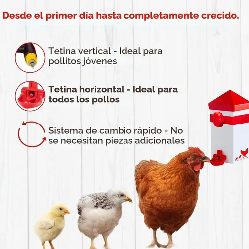 Vista 6 de RentACoop Bebedero de pollo de 32 onzas con 2 pezones versátiles