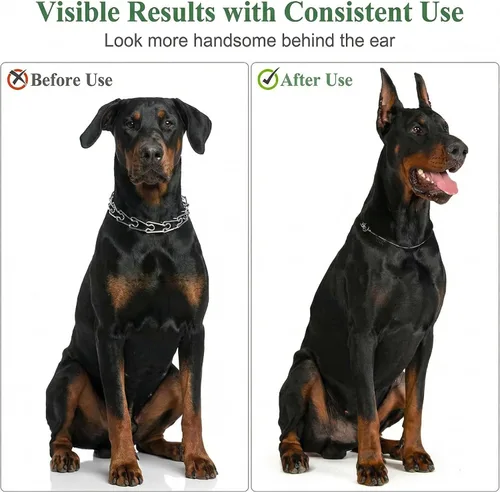 Vista 6 de SUPVOX Kit completo de cuidado y cuidado de orejas de perro: herramienta profesional de soporte para orejas + pares correctores adicionales