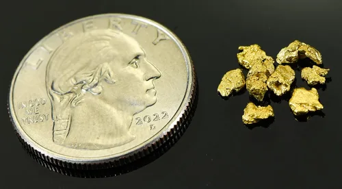 Vista 2 de Alaskan Yukon Gold Rush Nuggets #8 Malla 0.04 oz de multas