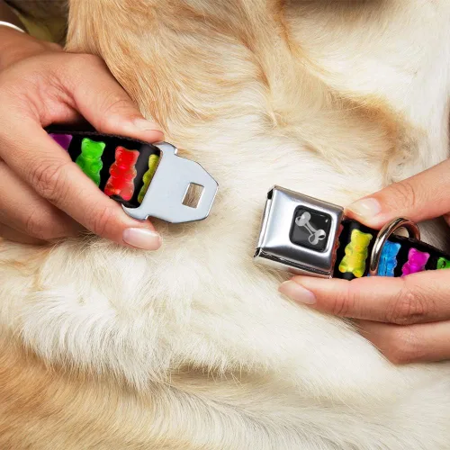 Vista 8 de Buckle-Down Collar de perro con hebilla de cinturón de seguridad, osos gomitas, negro/multicolor, 1.5 pulgadas de ancho, se adapta a cuello de 13-18