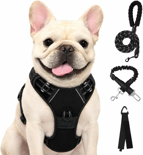 Vista 24 de FURRYFECTION - Arnés para perro a cuadros con correa y cinturón de Rosa