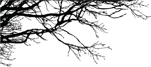 Vista 3 de Adhesivo decorativo para pared de árbol grande, ramas negras semi-brillantes, (21 x 50 pulgadas) de izquierda a derecha. Extraíble, no necesita