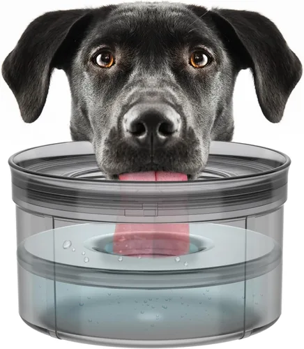 Vista 9 de Techphardo Tazón de Agua para Perros Sin Derrame de 1 Galón - 3.8L de Gran Capacidad, Libre de BPA, Diseño Anti-Salpicaduras y Anti-Desenterramiento