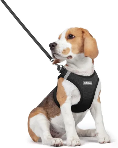 Vista 203 de rabbitgoo Arnés para perro de tamaño pequeño y juego de correa, chaleco Cachorros de manzana