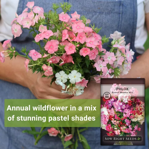 Vista 3 de Sow Right Seeds - Pastel Shades - Semillas de Phlox mixtas para plantar - Hermosas flores para plantar en tu jardín polinizador doméstico - Semillas