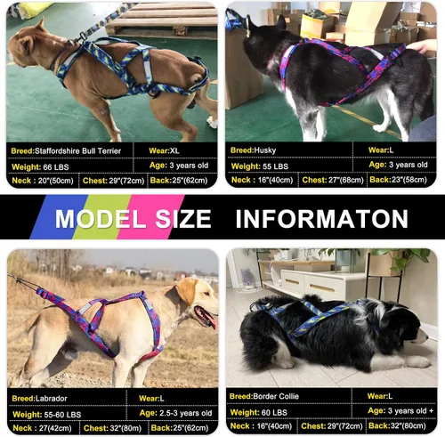 Vista 3 de PET ARTIST Arnés de tracción de peso para perro, entrenamiento de velocidad, arnés de trineo para perros medianos y grandes, azul, L