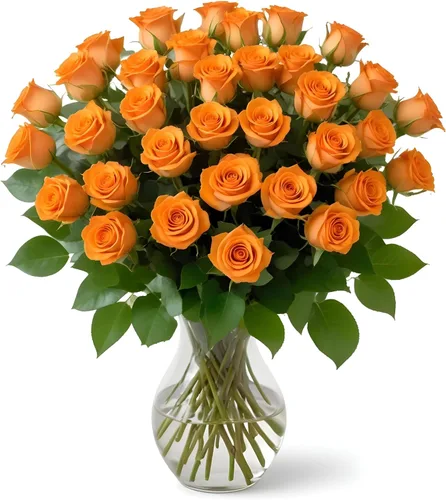 Vista 9 de 18 rosas de arco iris de colores surtidos con jarrón Ramos de Arabella Flores frescas reales para entrega, regalo para cumpleaños, mujeres