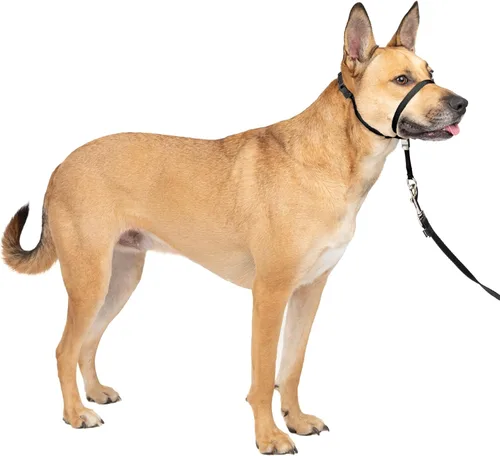 Vista 32 de Collar suave de conducción con DVD de entrenamiento PetSafe, Negro