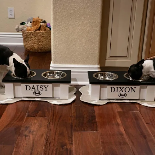 Vista 4 de GTW Soporte de Cuenco Elevado Personalizado para Perros Grandes, Medianos, Pequeños y Extra Pequeños - Cuencos de Acero Inoxidable para Comida