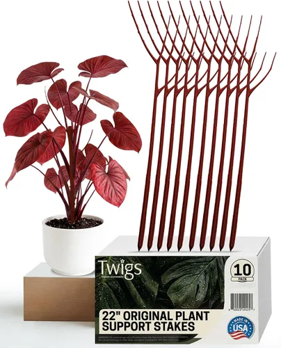 Vista 7 de Twigs GA - Estacas de soporte para plantas para uso en interiores y exteriores, alternativa duradera de enrejado para plantas trepadoras