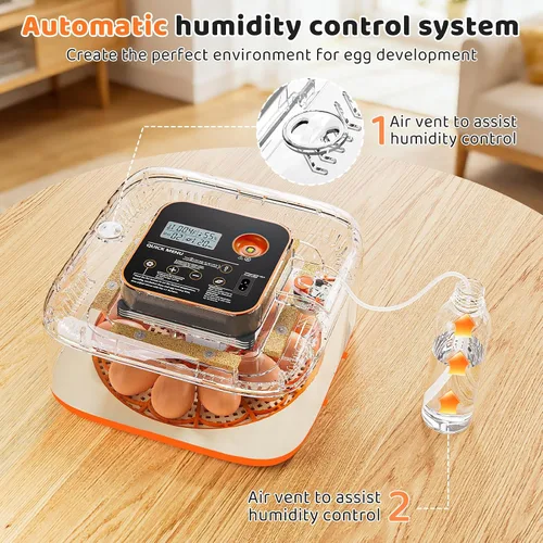Vista 5 de Incubadoras para incubar huevos Incubadora automática de huevos con control de temperatura y pantalla de humedad, capacidad de 12 huevos para pollo