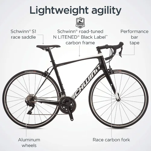 Vista 14 de Schwinn Fastback Carbon 105