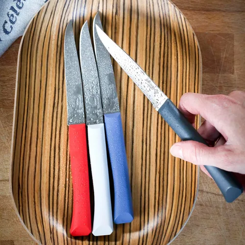 Vista 5 de Opinel Bon Appetit+ Juego de 4 cuchillos dentados aptos para lavavajillas - Cloud