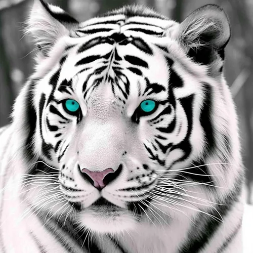 Vista 9 de Bimkole Kits de arte de diamantes 5D para adultos, flores alrededor del tigre, set de bordado de pedrería DIY animal de taladro completo, pintura