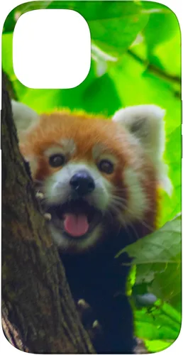 Vista 4 de Cute Funny Red Panda Smiling Tree Animal Nature Lover Gift Case for iPhone 17