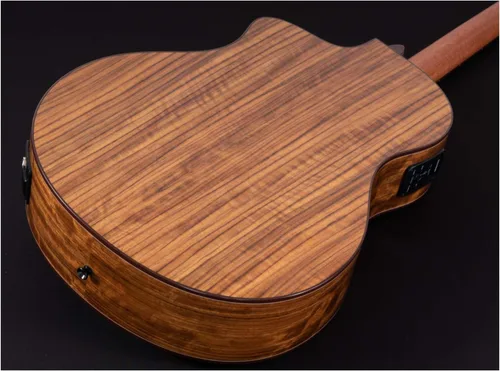 Vista 3 de Guitarra electroacústica de estudio Washburn Bella Tono Vite S9V Cutaway (BTS9VCECH-D)