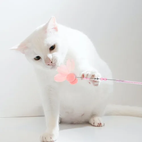 Vista 9 de POPETPOP Juguetes para gatos de 3 piezas, juguetes para mascotas, juguetes para gatos, juguetes para gatos en movimiento, juguetes para gatos